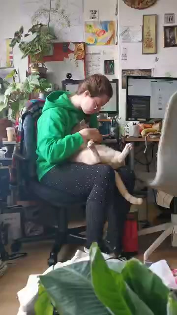Gentle Paws Grooming