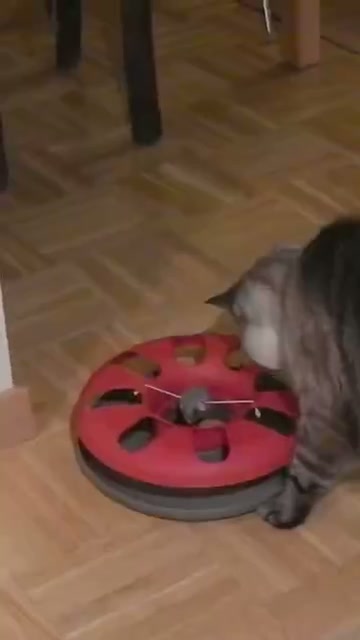Woodland Cat Toys